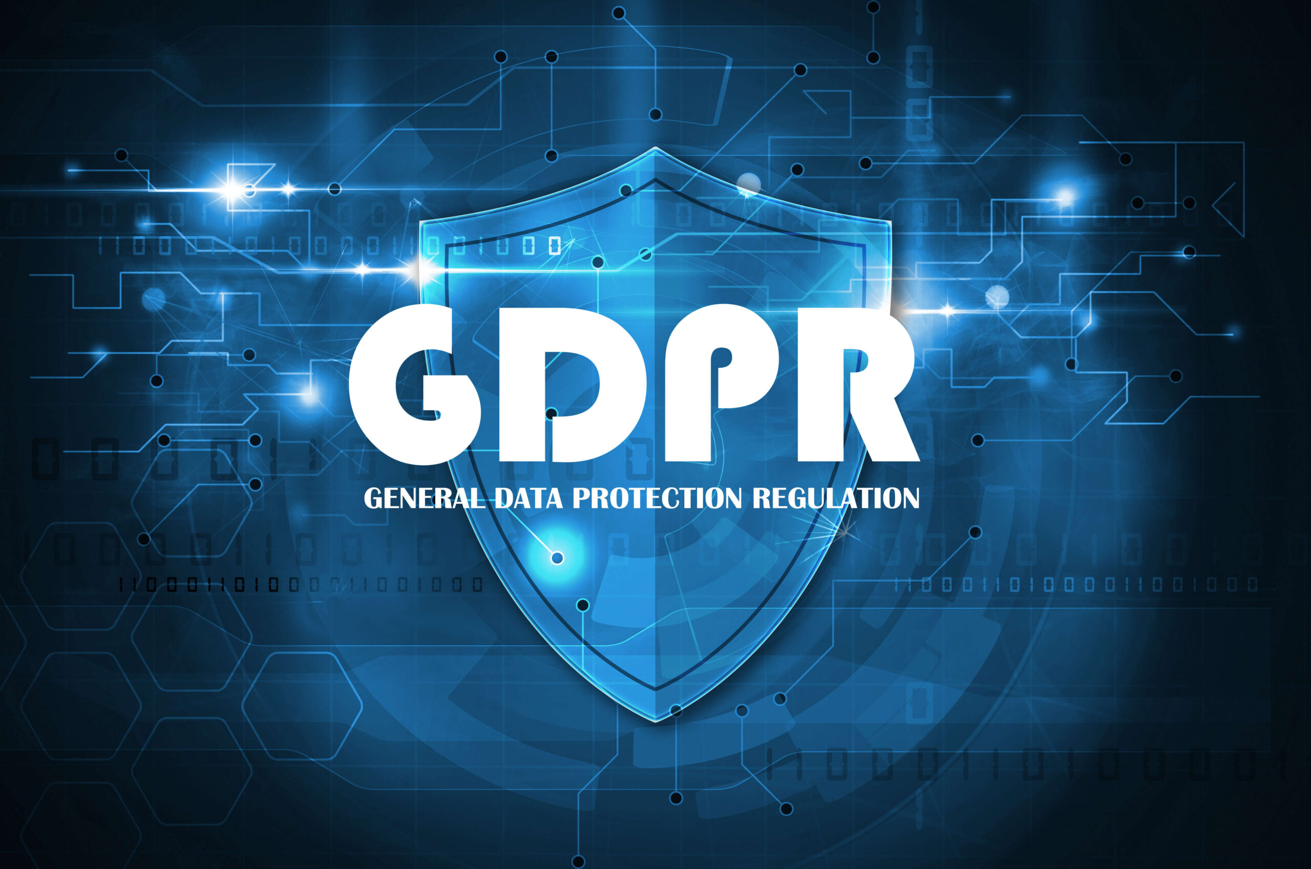 GDPR: The New Regulation Makes Major Impact on Privacy Policies