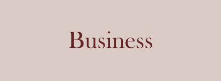 Services-zoomboxes-image-business-e