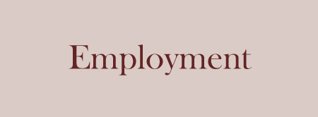 Services-zoomboxes-image-employment-e