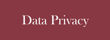 Services-zoomboxes-image-privacy-and-security-hover-d