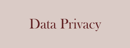 Services-zoomboxes-image-privacy-and-security-hover-e