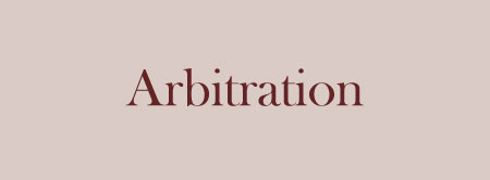 Services-zoomboxes-image-Arbitration-hover