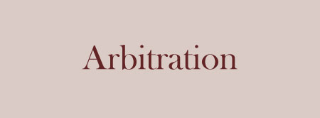 Services-zoomboxes-image-Arbitration-hover