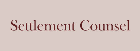 Services-zoomboxes-image-Settlement-Counsel-hover